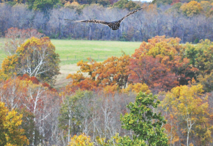 Glide path